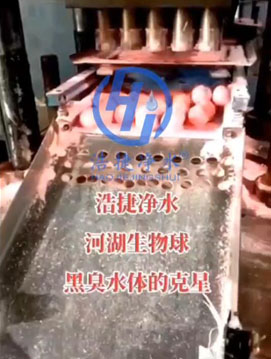 �ƽ݃�ˮ�Ӻ������������l(f��)�ڰl(f��)��ˮ�w